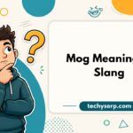Mog Meaning in Slang