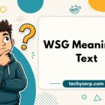 WSG Meaning in Text